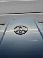 Toyota Prius (XW10) Vano motore/cofano 