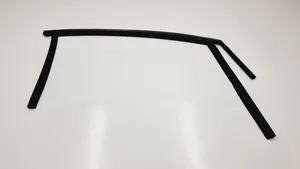 Ford C-MAX II Guma sandarinimo priekinių durų (prie stiklo) AM51-U21510
