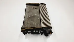 Ford Edge II Set del radiatore 