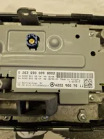 Mercedes-Benz S C217 Tachimetro (quadro strumenti) A2C84411000