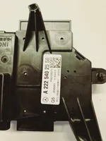 Mercedes-Benz S C217 Module de fusibles A2225402550