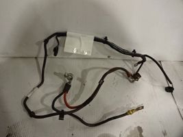 Volkswagen Polo V 6R Cables (alternador) 