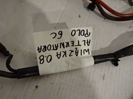 Volkswagen Polo V 6R Cables (alternador) 