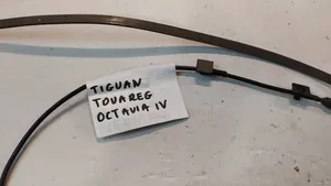 Volkswagen Tiguan Bagažinės dangčio valdymo blokas 3G0962245C