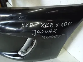 Jaguar XK8 - XKR Barra di rinforzo del paraurti anteriore 8W8317F791A