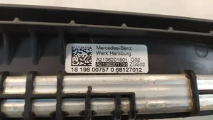 Mercedes-Benz E W213 Viršutinė dalis radiatorių panelės (televizoriaus) A2136201701