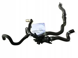 Citroen DS5 Thermostat 9682141580