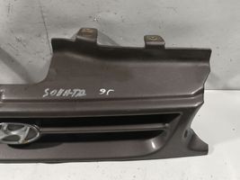 Hyundai Sonata Oberes Gitter vorne 86350