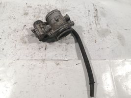 Citroen Berlingo Throttle valve 