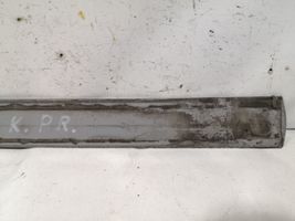 Ford Fiesta Front door trim (molding) 