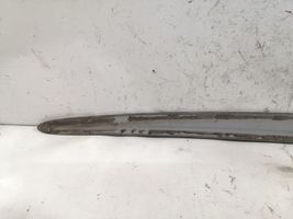 Ford Fiesta Front door trim (molding) 