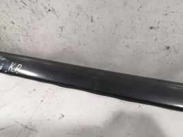 Mercedes-Benz C W202 Front door trim (molding) A2026900362