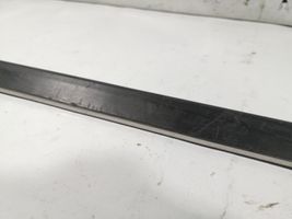 BMW 5 E39 Front door trim (molding) 8159295