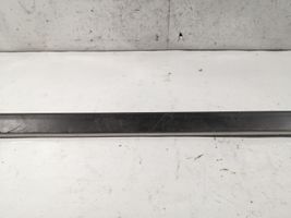 BMW 5 E39 Front door trim (molding) 8159295