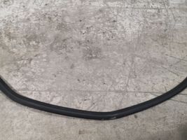 Volkswagen PASSAT B7 Rear door rubber seal (on body) 3C9867913B