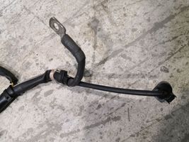 Volkswagen PASSAT B7 Other wiring loom 3AA971230B