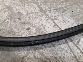 Volkswagen New Beetle Front door rubber seal 1C0867365