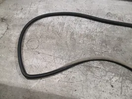 Volkswagen New Beetle Front door rubber seal 1C0867365