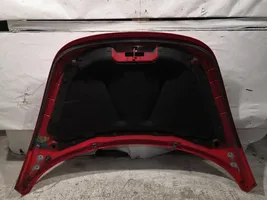 Volkswagen New Beetle Engine bonnet/hood 