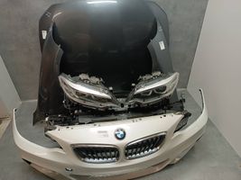 BMW 2 F22 F23 Rivestimento della modanatura della chiusura del vano motore/cofano 