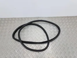 BMW 5 F10 F11 Rear door rubber seal (on body) 