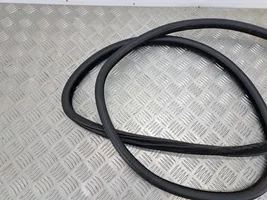 BMW 5 F10 F11 Rear door rubber seal (on body) 