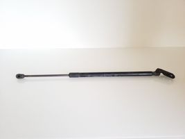 Toyota Corolla Verso E121 Ammortizzatore portellone posteriore/bagagliaio 689500F012