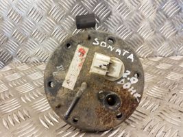 Hyundai Sonata In-tank fuel pump 