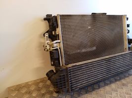 Ford S-MAX Radiator set 8802910