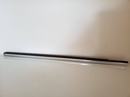 Ford S-MAX Front door glass trim molding 