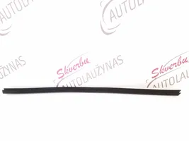 Audi A4 S4 B9 Front door glass trim molding 8W0837479