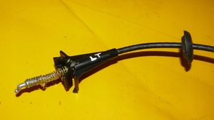 Jaguar S-Type Rear door cable line 