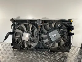 Lexus UX Set del radiatore 4221367380