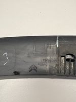 Citroen C3 Aircross Rivestimento portiera posteriore (modanatura) 13491065