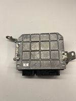 Lexus CT 200H Calculateur moteur ECU 8966176030