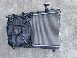 Hyundai Santa Fe Kit Radiateur 25386-26200