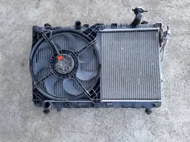 Hyundai Santa Fe Kit Radiateur 25386-26200