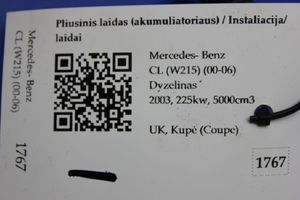 Mercedes-Benz CL C215 Pliusinis laidas (akumuliatoriaus) 2205400230