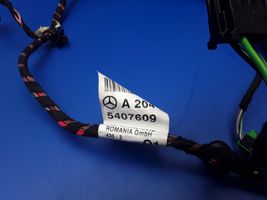 Mercedes-Benz C W204 Cablaggio porta posteriore A2045407609