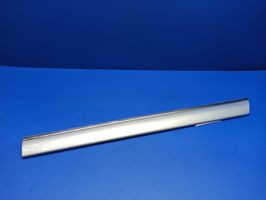 Mercedes-Benz S W220 Rear door trim (molding) A2206900762