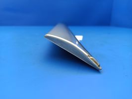 Mercedes-Benz S W220 Rivestimento portiera posteriore (modanatura) A2206900762