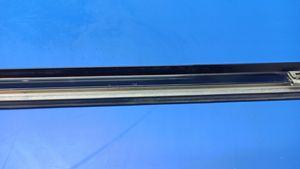 Mercedes-Benz S W220 Rubber seal rear door window/glass W220