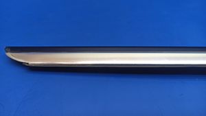 Mercedes-Benz S W220 Rubber seal rear door window/glass W220