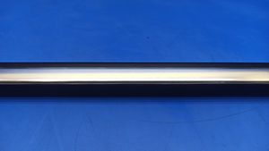 Mercedes-Benz S W220 Rubber seal rear door window/glass W220