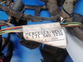 Mercedes-Benz SLK R171 Inna wiązka przewodów / kabli A1715401234