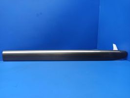 Mercedes-Benz E W211 Rivestimento portiera posteriore (modanatura) A2116901362