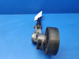 Mercedes-Benz S W140 Tensor de correa del alternador 6062020028