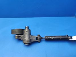 Mercedes-Benz S W140 Tensor de correa del alternador 6062020028