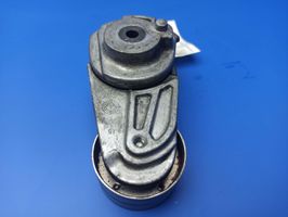 Mercedes-Benz ML W164 Napinacz paska wielorowkowego / Alternatora 950154