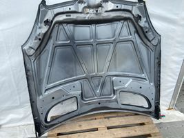 Mercedes-Benz SLK R171 Engine bonnet/hood R171